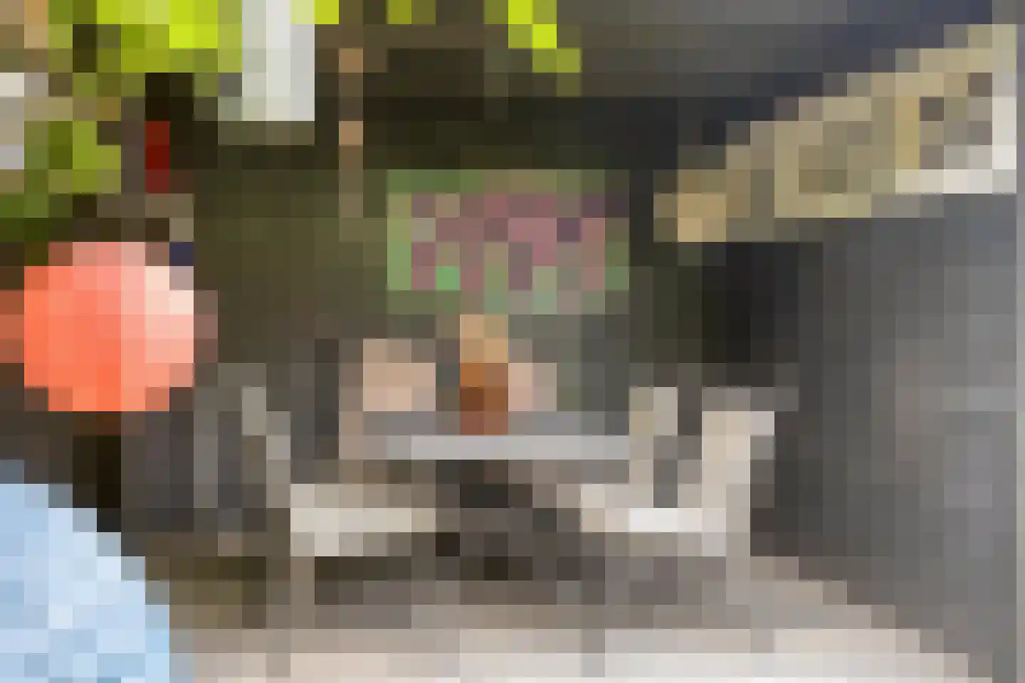 Christoffelhof 12 Almelo thumbnail 27