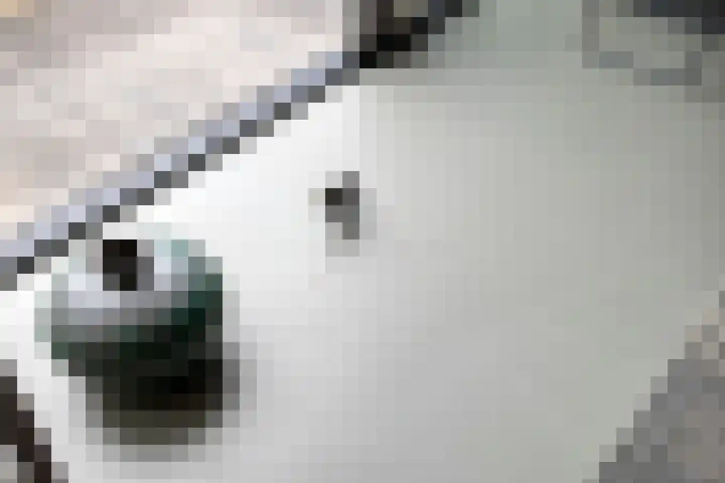 Christoffelhof 12 Almelo thumbnail 33