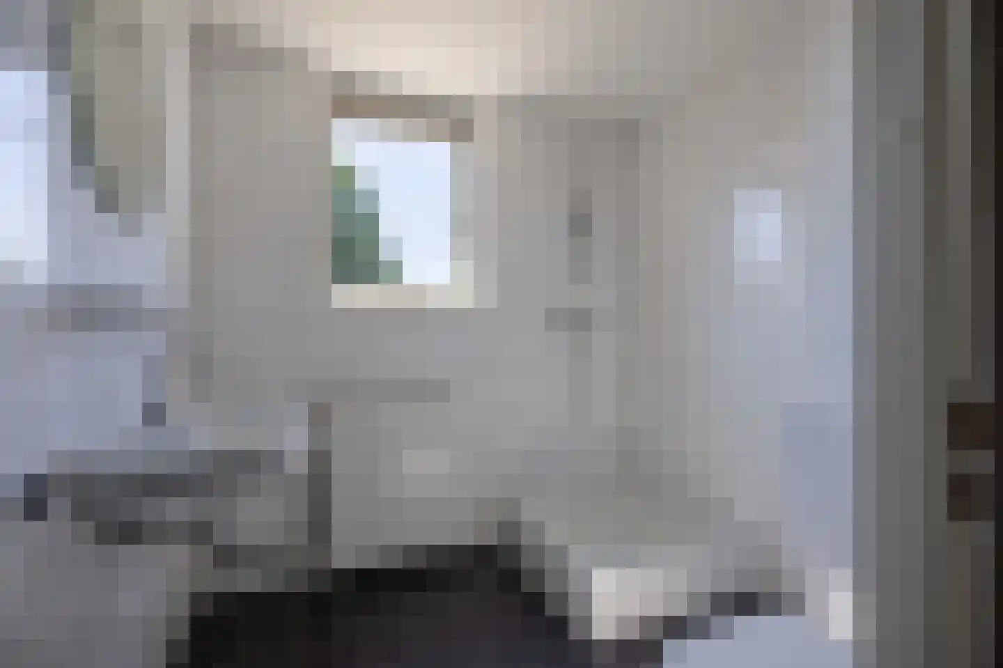 Christoffelkruid 1 Venray thumbnail 17