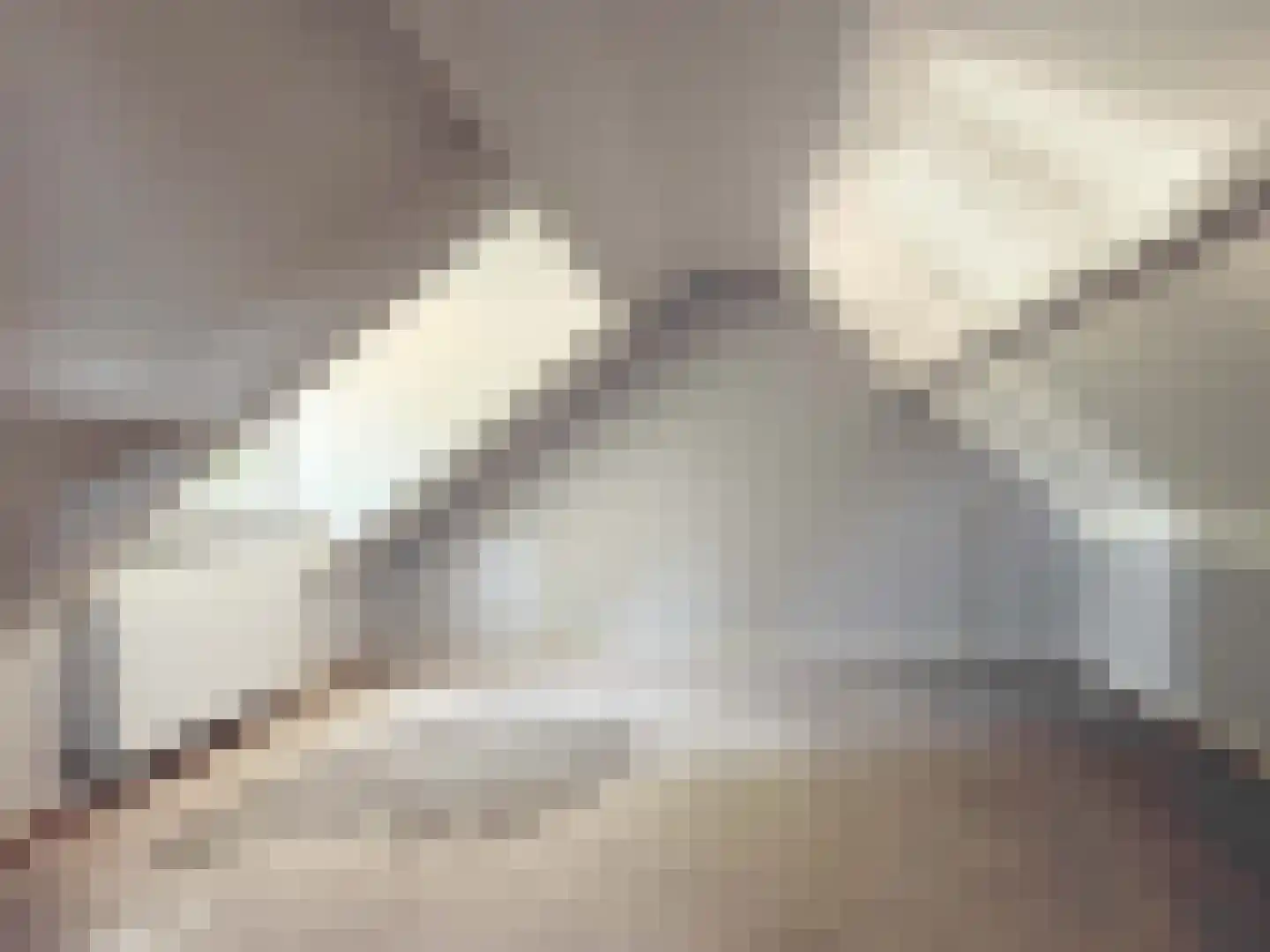 Christoffelkruid 1 Venray thumbnail 18
