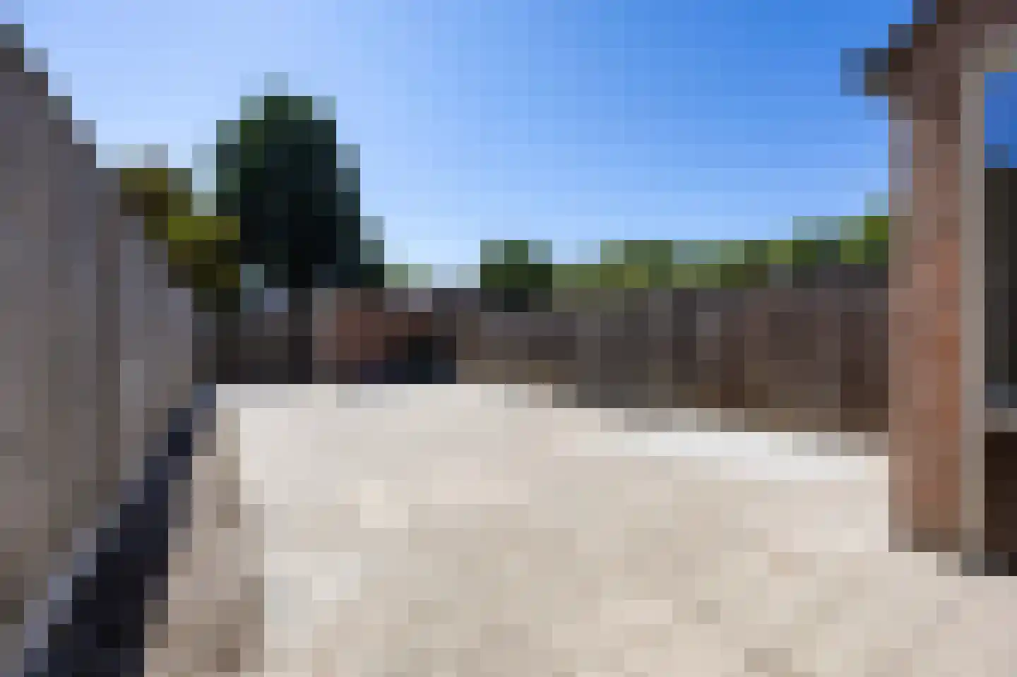 Christoffelkruid 1 Venray thumbnail 20
