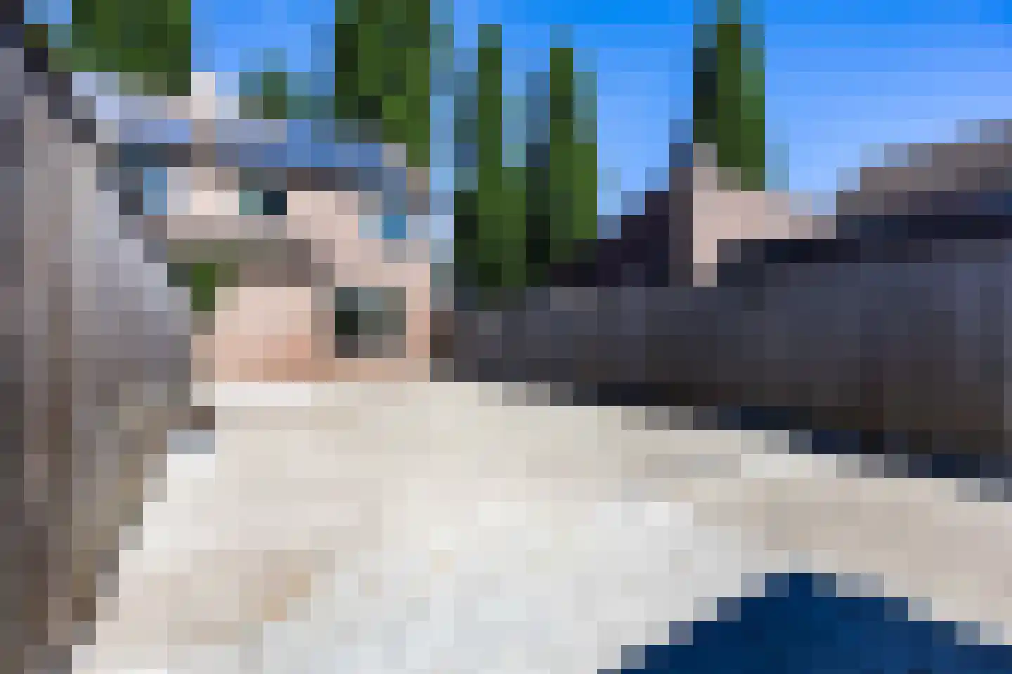 Christoffelkruid 1 Venray thumbnail 21