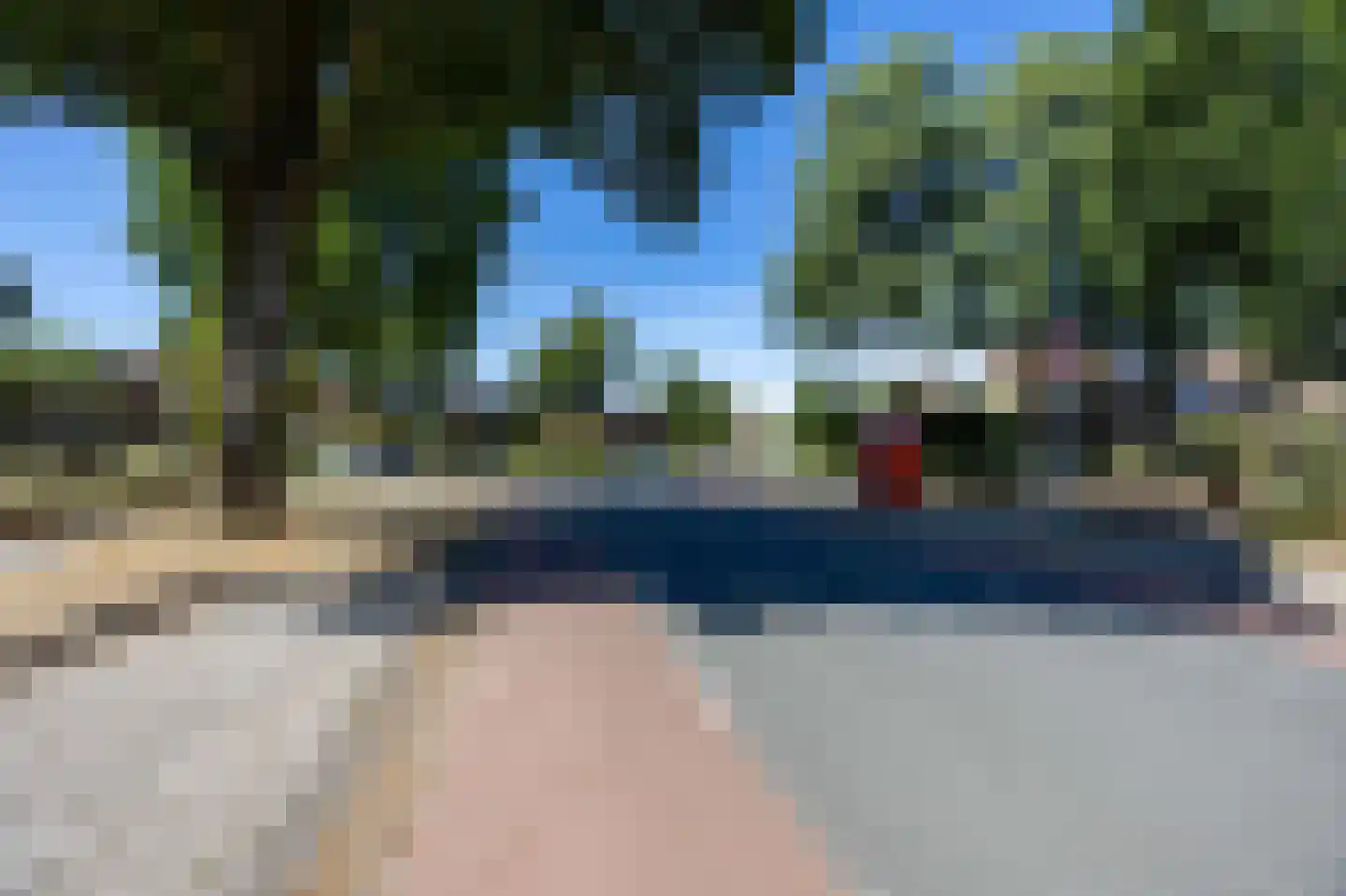 Christoffelkruid 1 Venray thumbnail 25