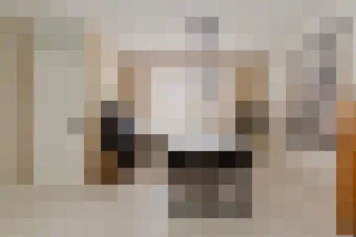 Christoffelkruid 3 Venray thumbnail 10