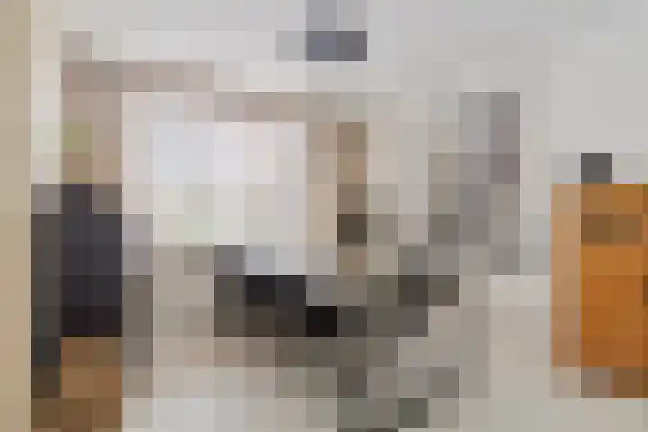 Christoffelkruid 3 Venray thumbnail 11