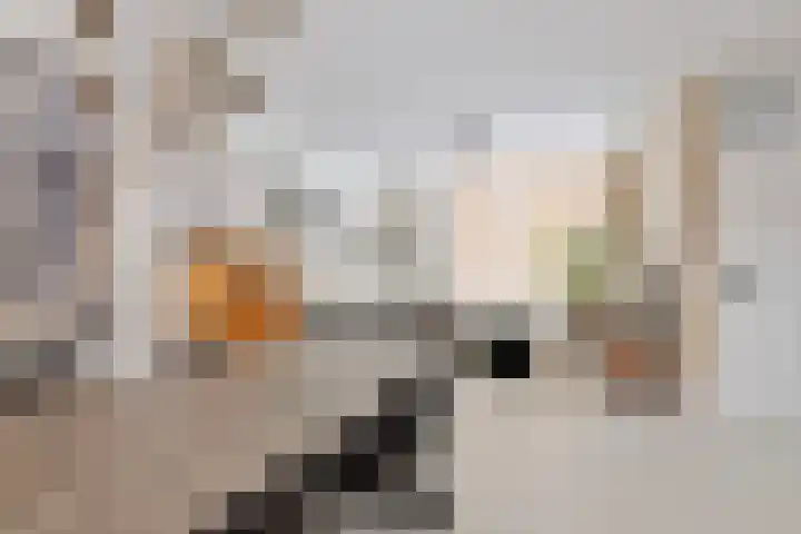 Christoffelkruid 3 Venray thumbnail 12