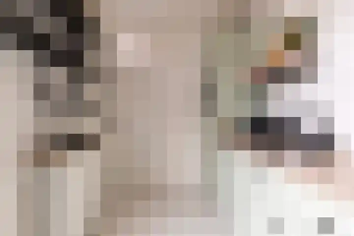 Christoffelkruid 3 Venray thumbnail 15
