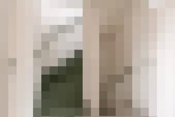 Christoffelkruid 3 Venray thumbnail 16