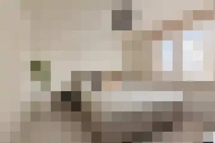 Christoffelkruid 3 Venray thumbnail 17