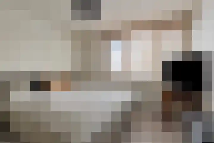 Christoffelkruid 3 Venray thumbnail 18