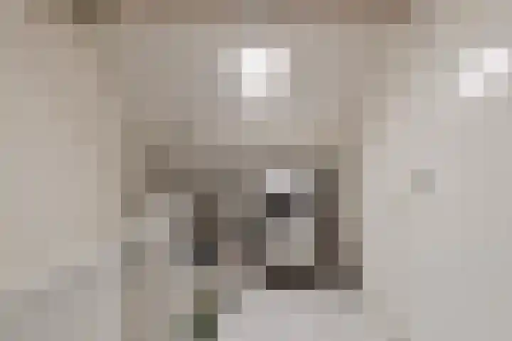 Christoffelkruid 3 Venray thumbnail 24