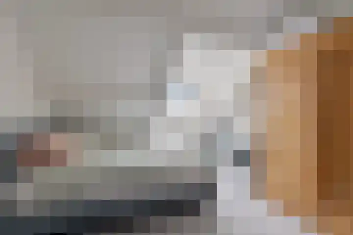 Christoffelkruid 3 Venray thumbnail 26
