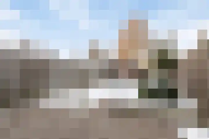 Christoffelkruid 3 Venray thumbnail 27