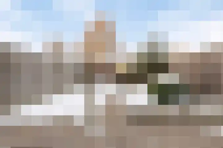 Christoffelkruid 3 Venray thumbnail 28