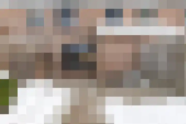 Christoffelkruid 3 Venray thumbnail 31