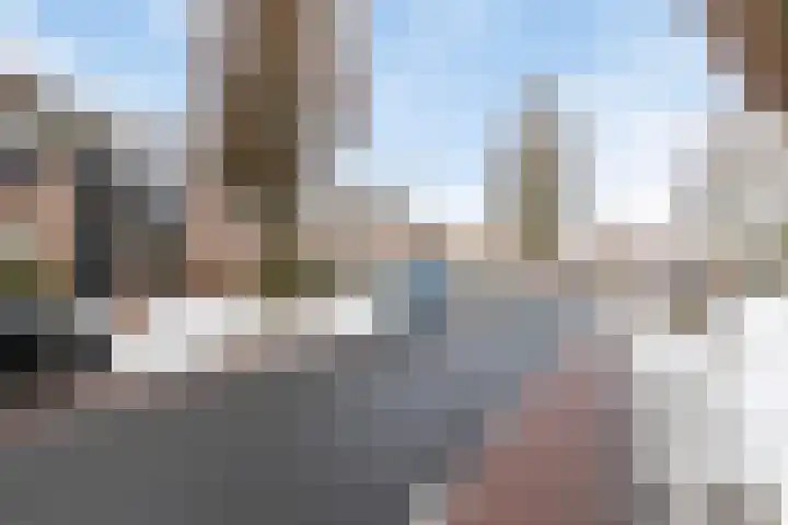 Christoffelkruid 3 Venray thumbnail 33