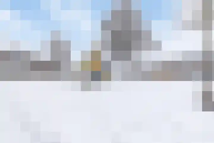 Christoffelkruid 3 Venray thumbnail 35