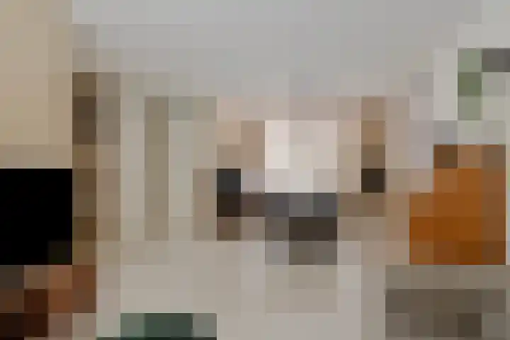 Christoffelkruid 3 Venray thumbnail 9