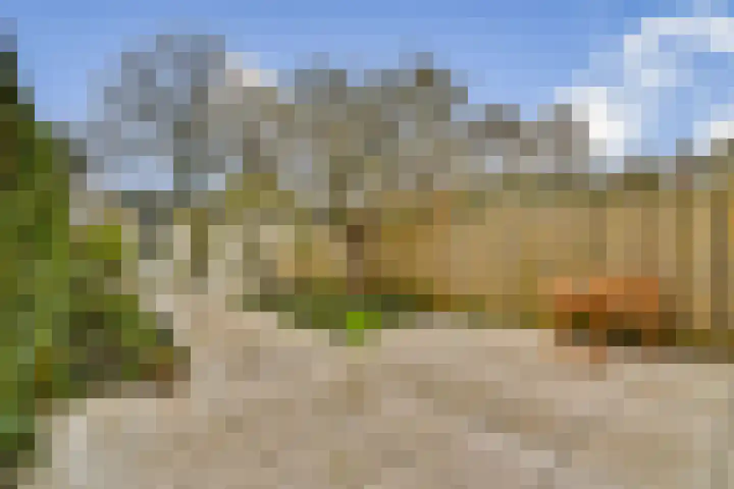Christoffelkruid 7 Vlaardingen thumbnail 12