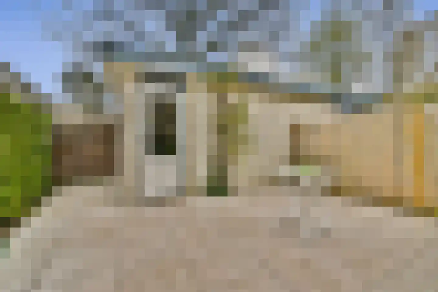 Christoffelkruid 7 Vlaardingen thumbnail 13