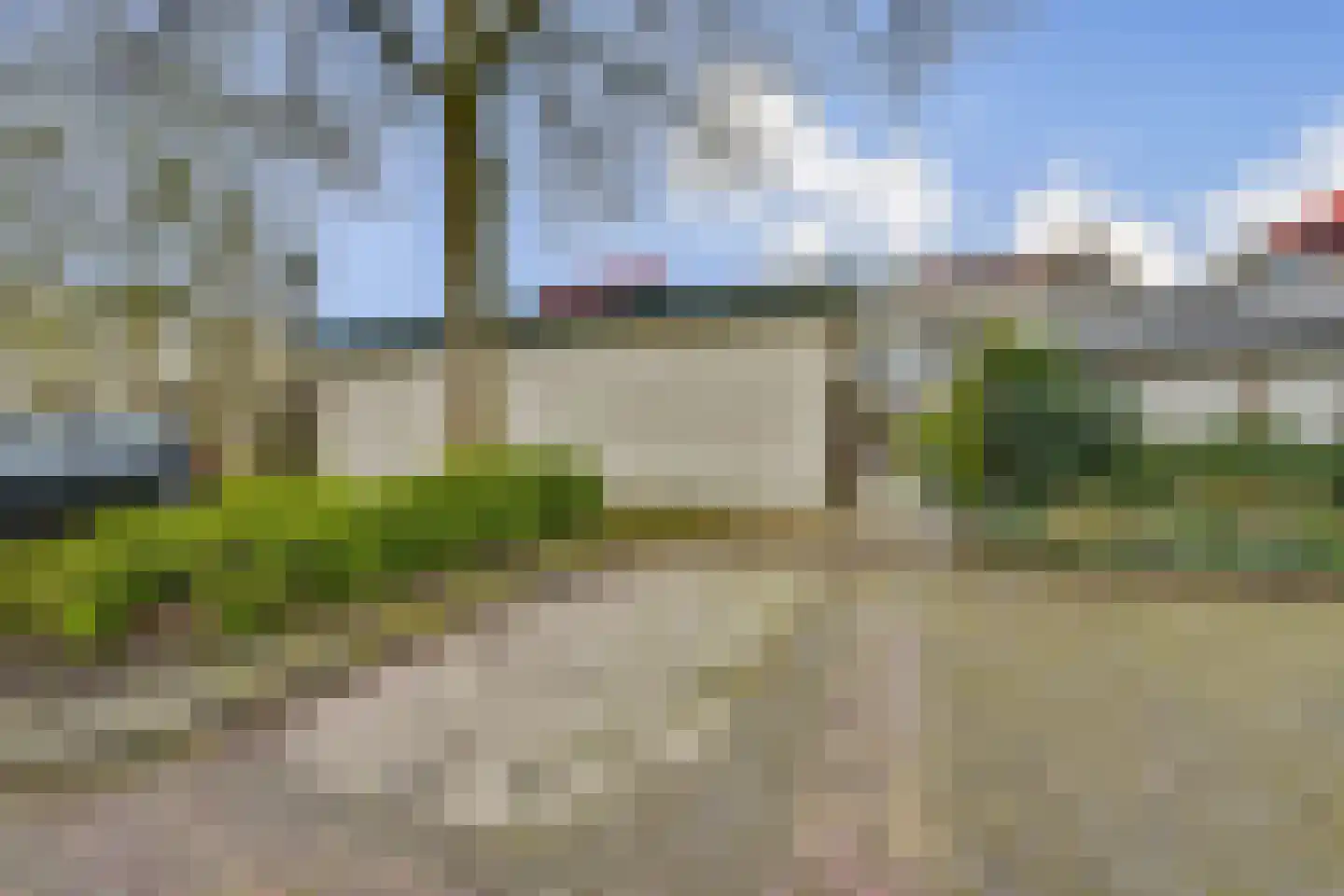 Christoffelkruid 7 Vlaardingen thumbnail 14