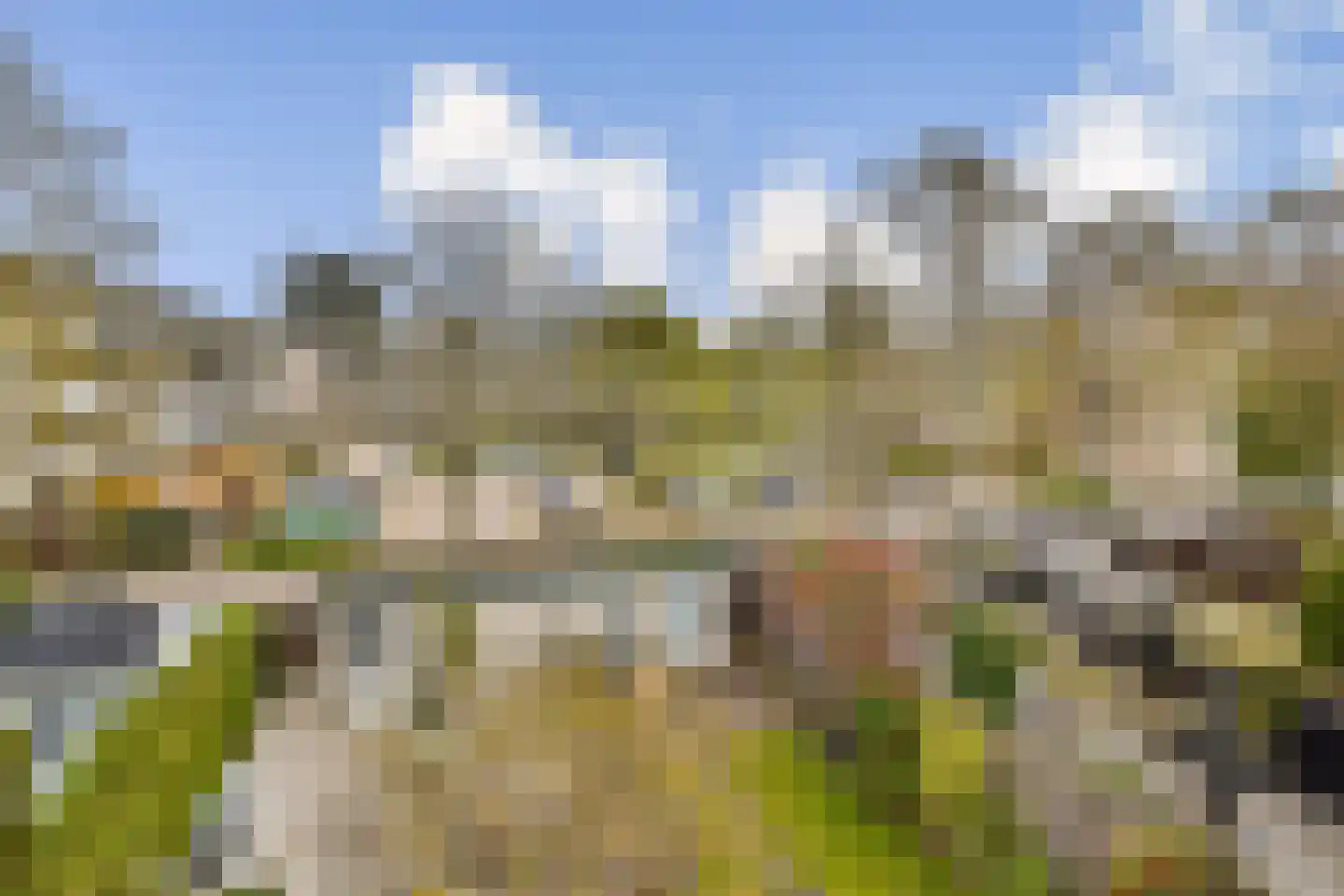 Christoffelkruid 7 Vlaardingen thumbnail 29
