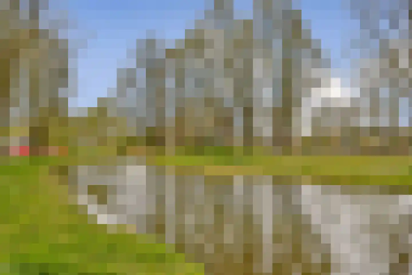 Christoffelkruid 7 Vlaardingen thumbnail 30