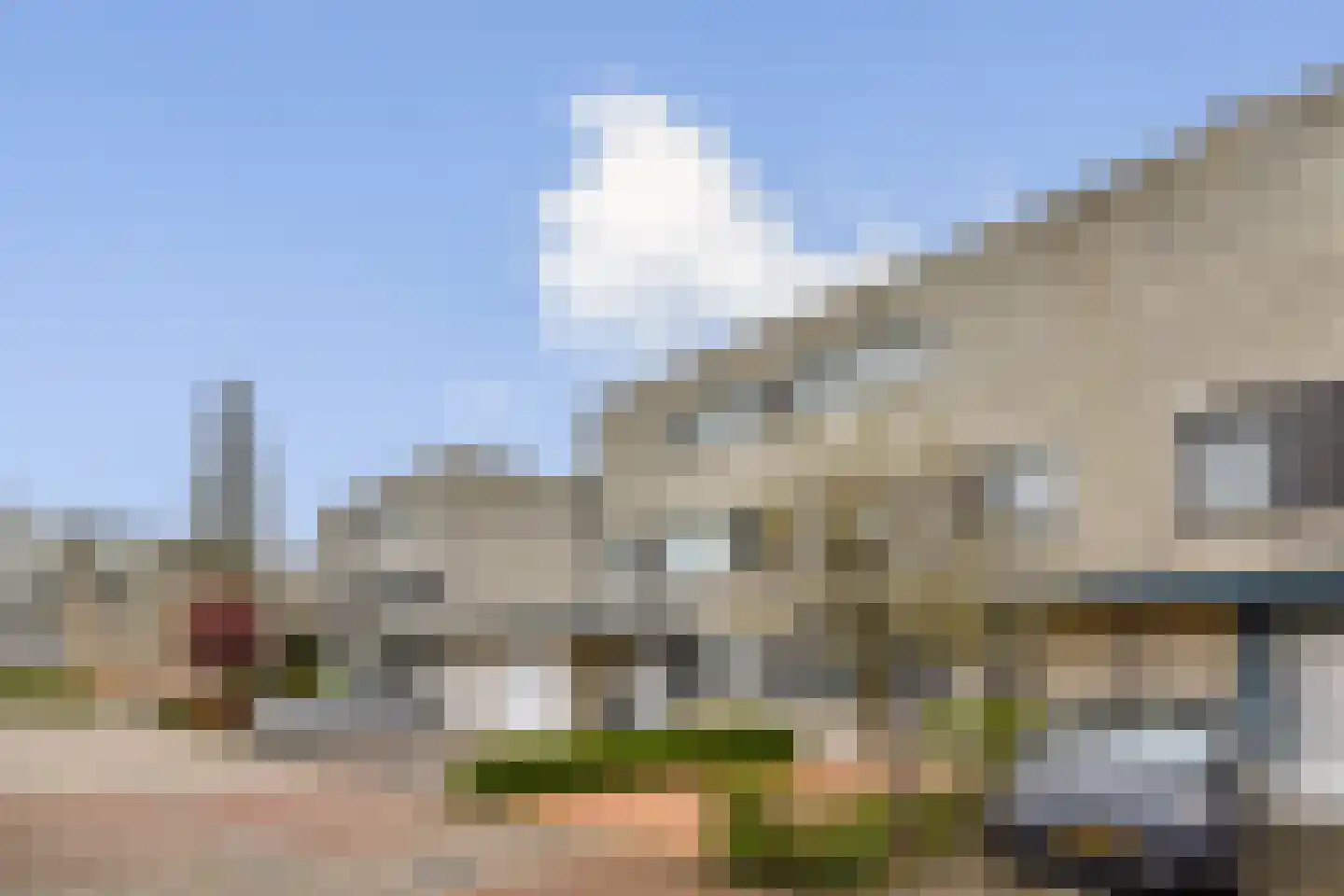 Christoffelkruid 7 Vlaardingen thumbnail 31