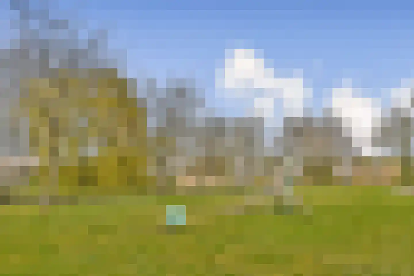 Christoffelkruid 7 Vlaardingen thumbnail 32