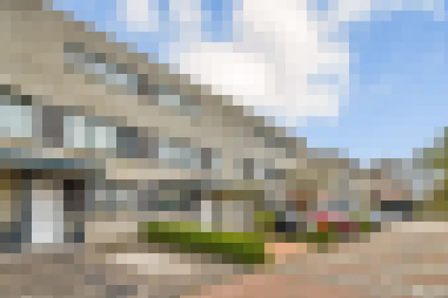Christoffelkruid 7 Vlaardingen thumbnail 4
