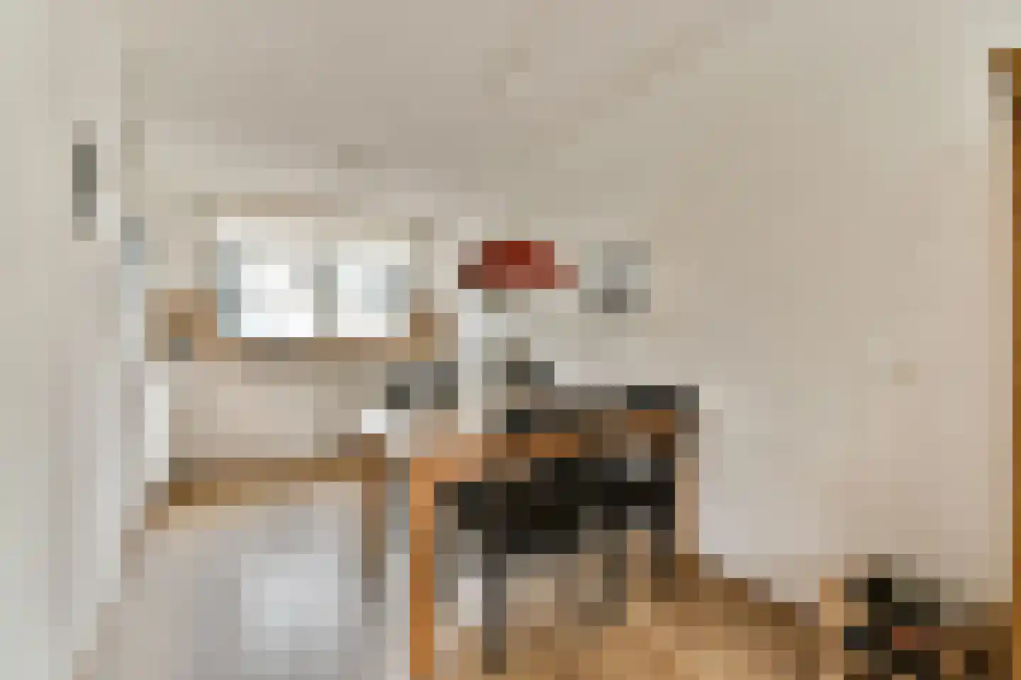 Christoffelkruid 7 Vlaardingen thumbnail 9