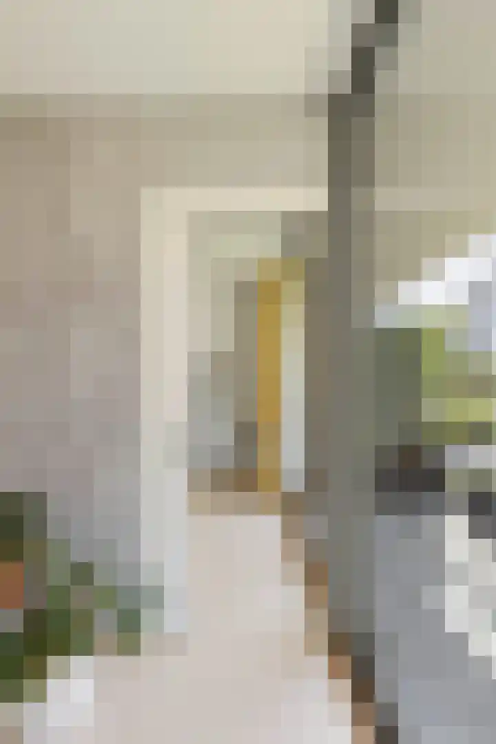 Christoffelkruidstraat 42 Amsterdam thumbnail 17