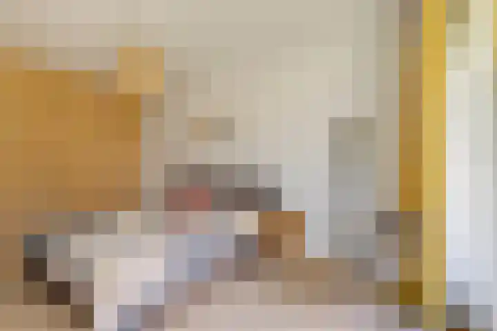 Christoffelkruidstraat 42 Amsterdam thumbnail 18