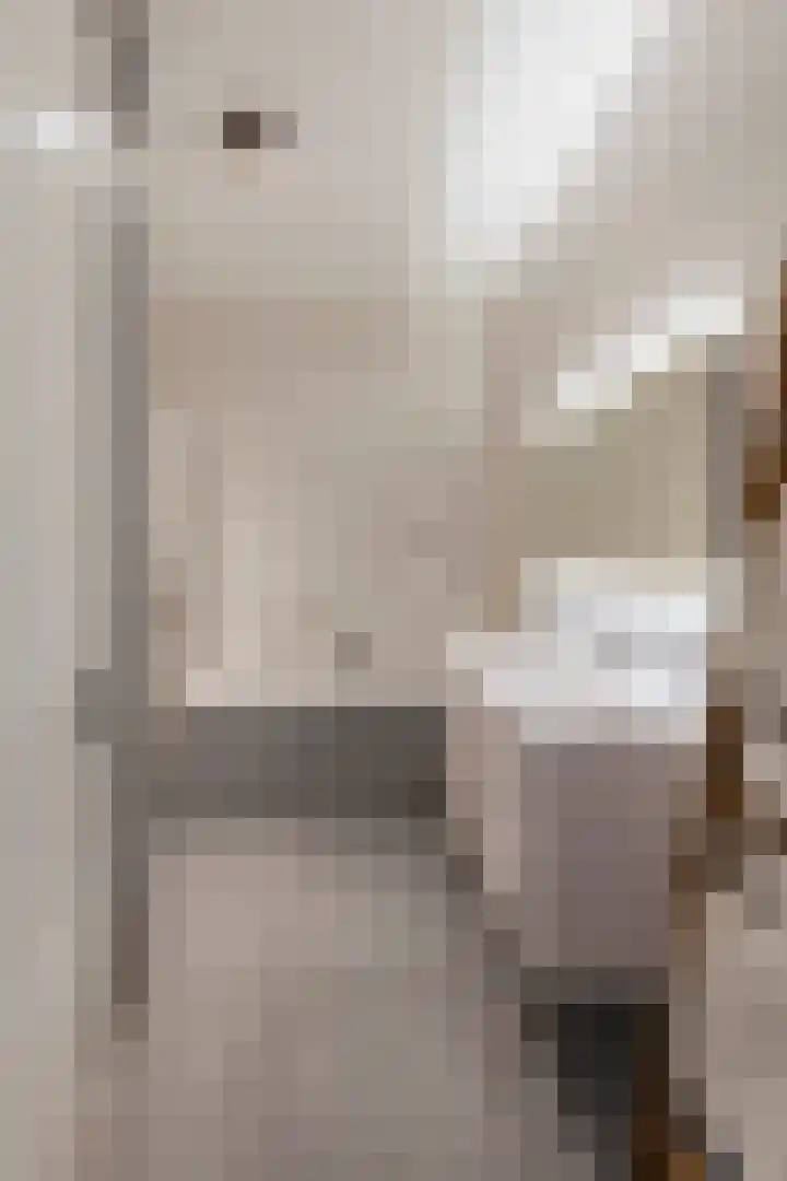 Christoffelkruidstraat 42 Amsterdam thumbnail 21