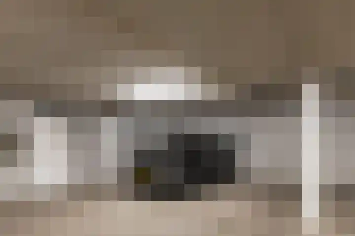 Christoffelkruidstraat 42 Amsterdam thumbnail 32