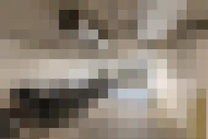 Christoffelkruidstraat 42 Amsterdam thumbnail 33