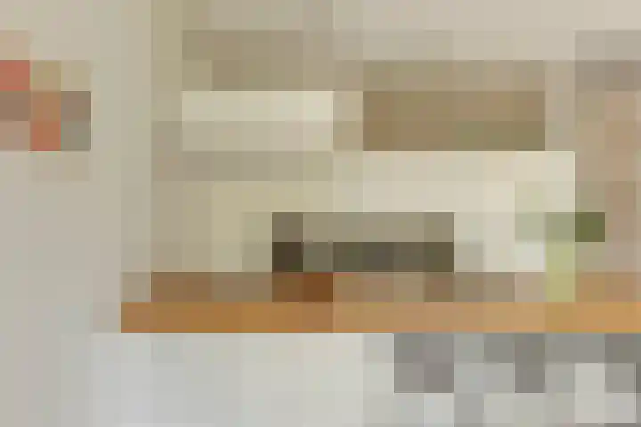 Christoffelkruidstraat 42 Amsterdam thumbnail 7