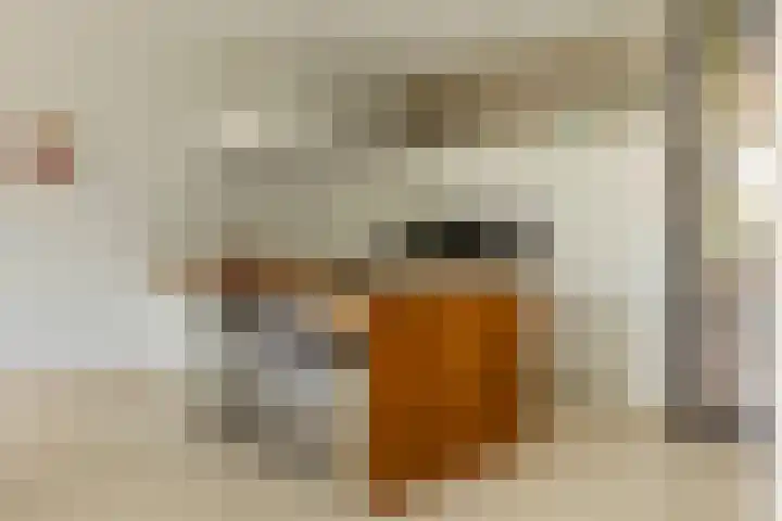 Christoffelkruidstraat 42 Amsterdam thumbnail 8