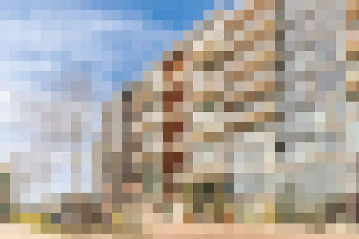 Christoffelkruidstraat 80 Amsterdam thumbnail 4