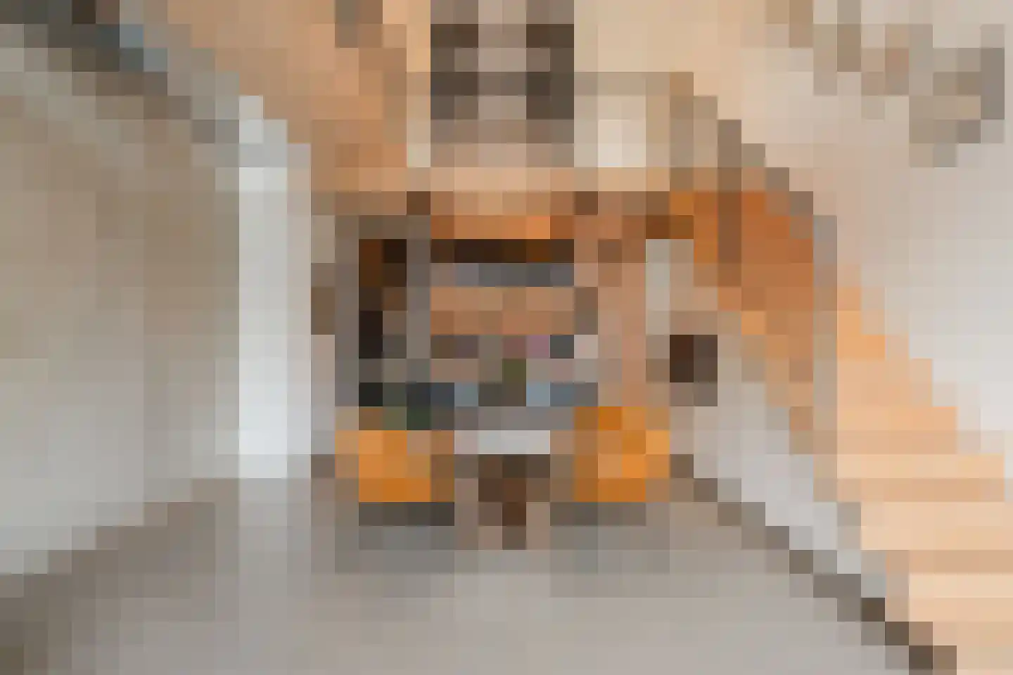 Christoffelkruidstraat 82 Amsterdam thumbnail 16