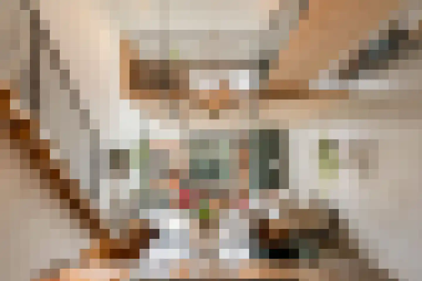 Christoffelkruidstraat 82 Amsterdam thumbnail 24