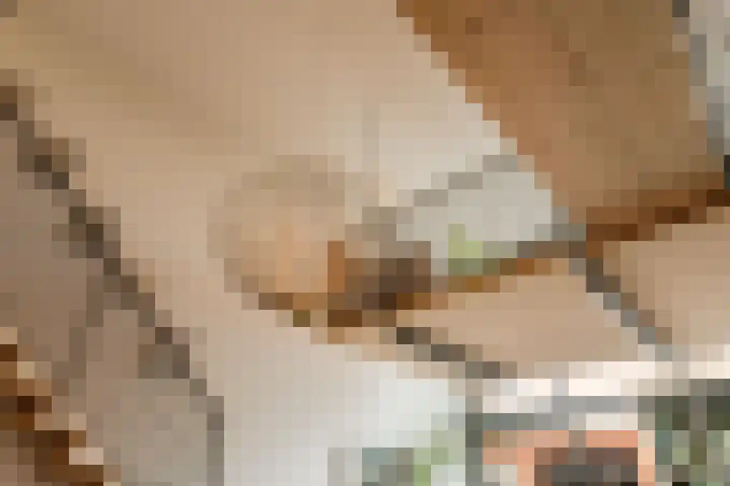 Christoffelkruidstraat 82 Amsterdam thumbnail 26