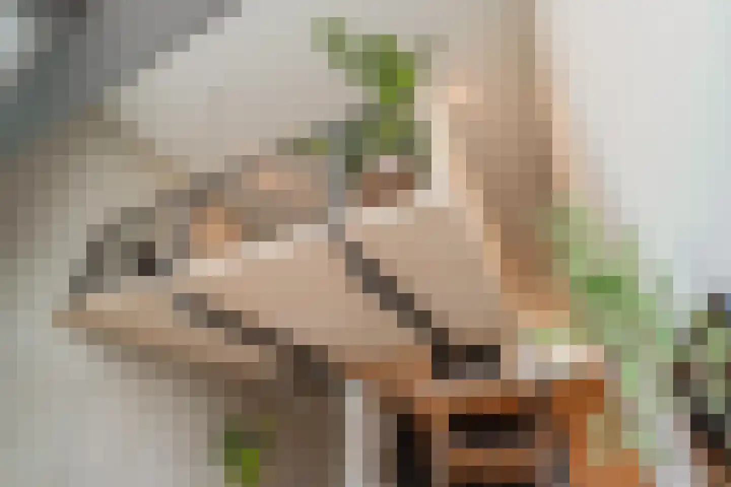 Christoffelkruidstraat 82 Amsterdam thumbnail 27