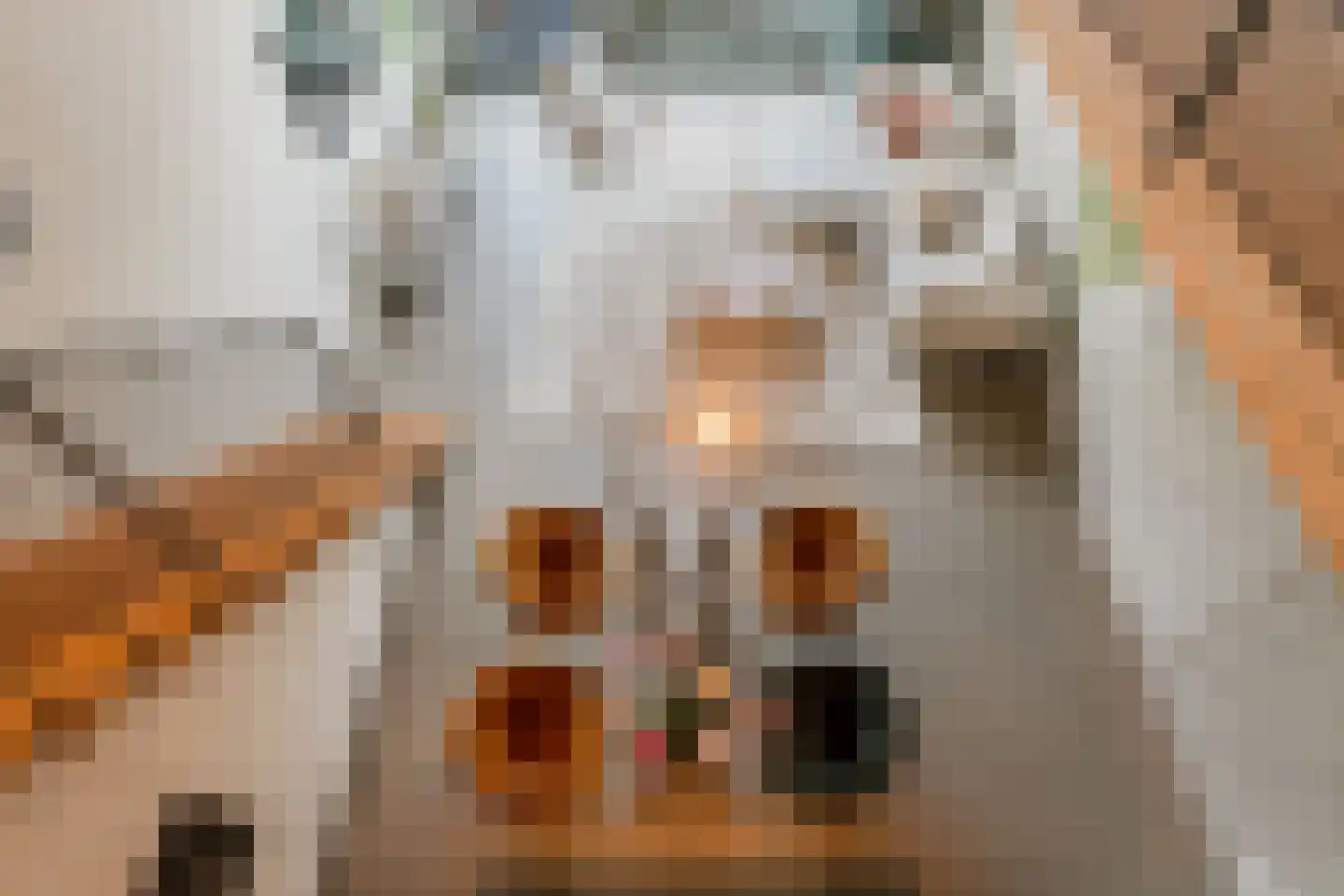 Christoffelkruidstraat 82 Amsterdam thumbnail 29