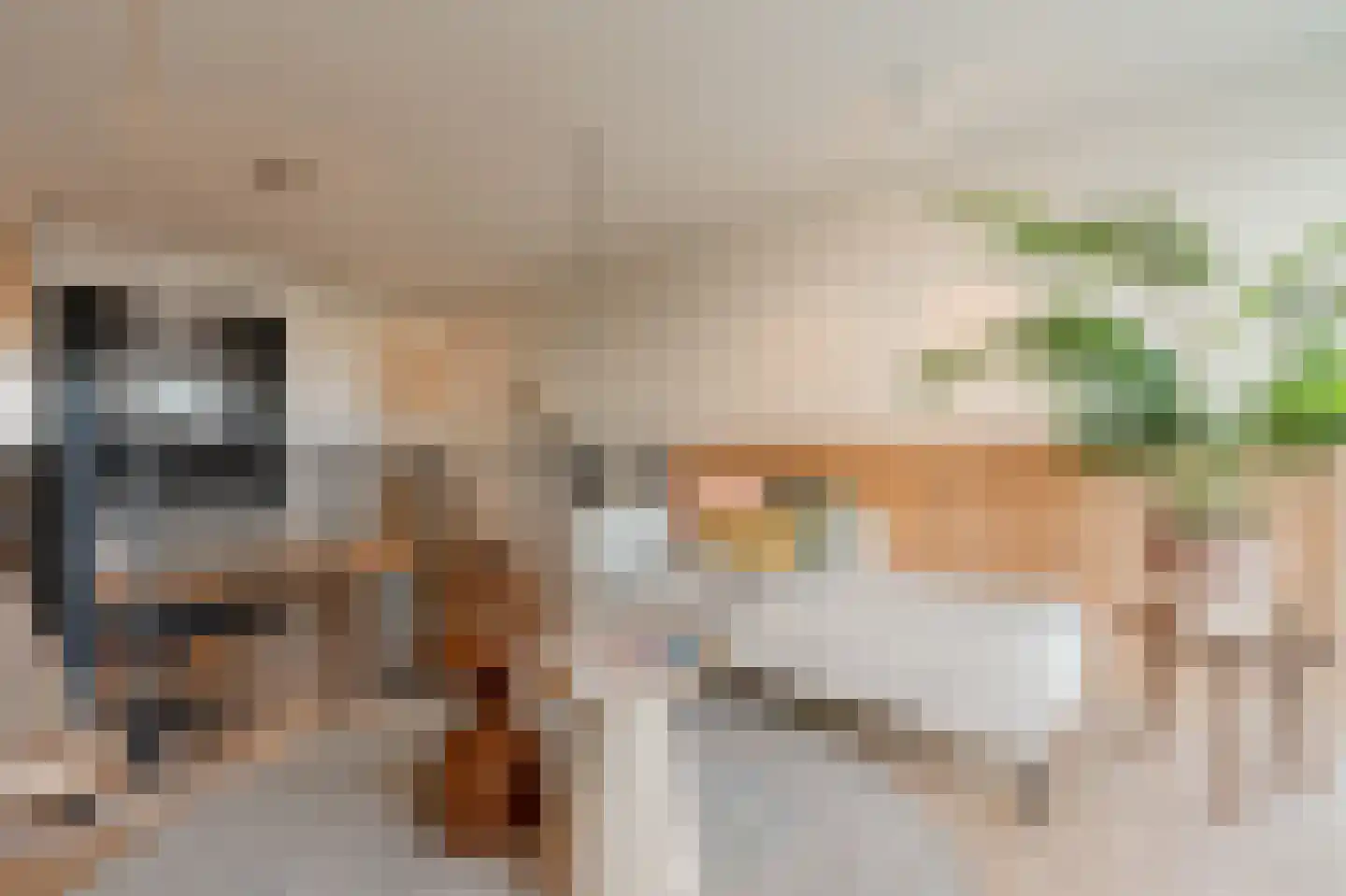 Christoffelkruidstraat 82 Amsterdam thumbnail 32