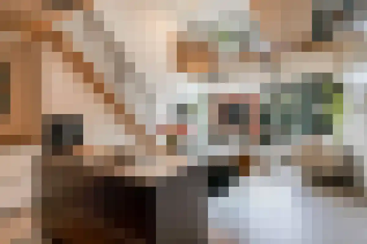 Christoffelkruidstraat 82 Amsterdam thumbnail 5