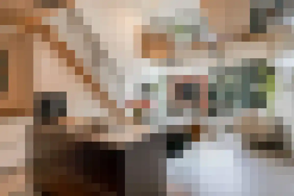 Christoffelkruidstraat 82 Amsterdam thumbnail 5