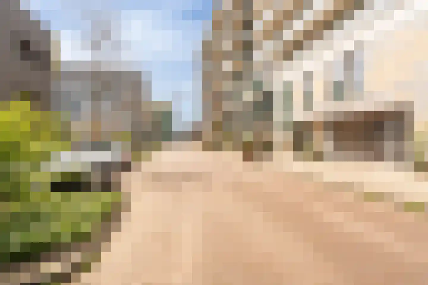 Christoffelkruidstraat 82 Amsterdam thumbnail 63