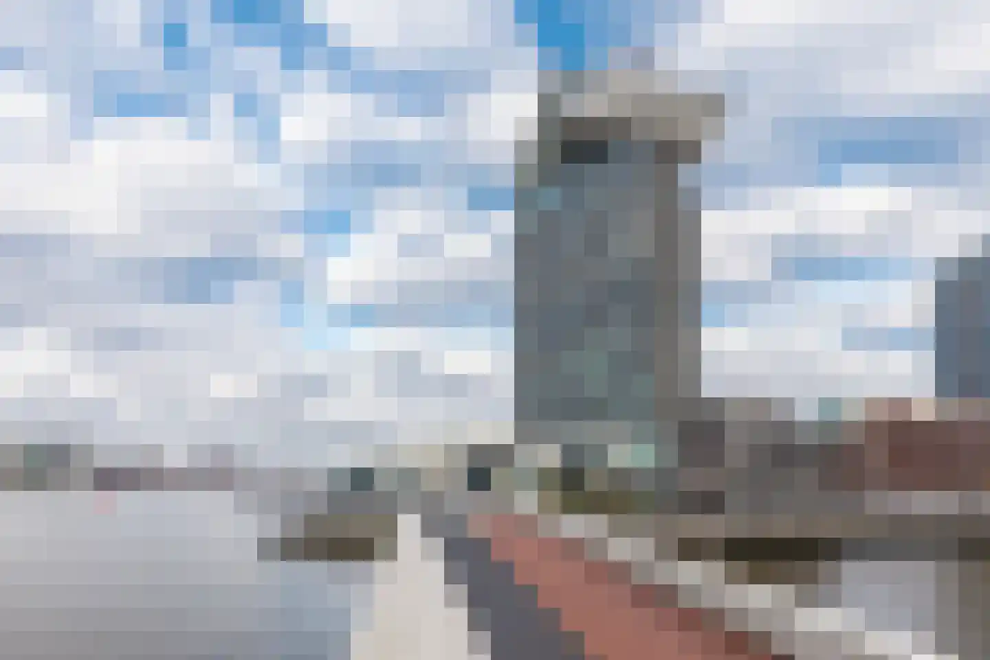 Christoffelkruidstraat 82 Amsterdam thumbnail 66