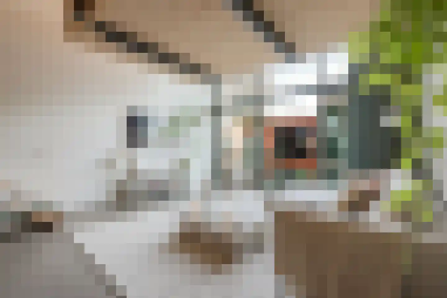 Christoffelkruidstraat 82 Amsterdam thumbnail 9